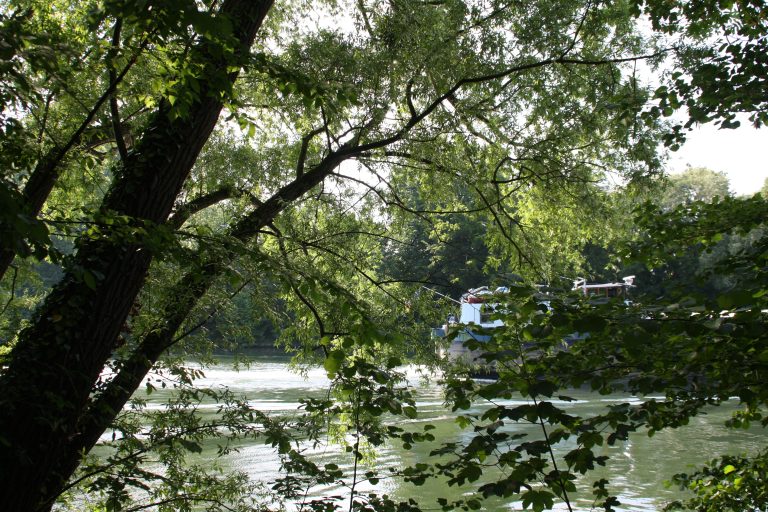 Lire la suite à propos de l’article Le schéma départemental pour l’aménagement de la Seine et de ses berges