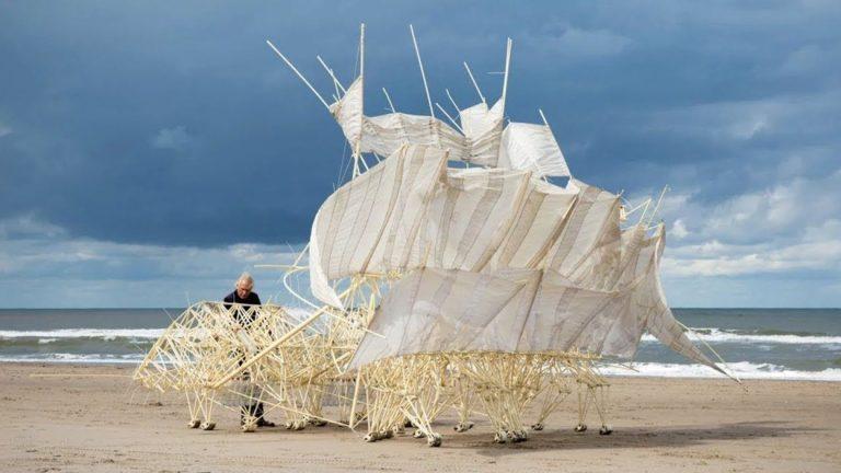 Lire la suite à propos de l’article Théo Jansen, sculpteur de vent